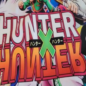 Hunter X Hunter ANIME Cushion Pillow Cover